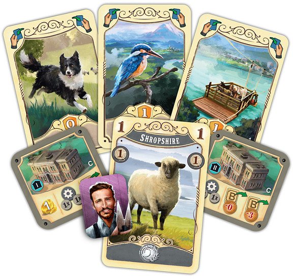 Звезда Великий Западный путь. Новая Зеландия 8420 - детский товар