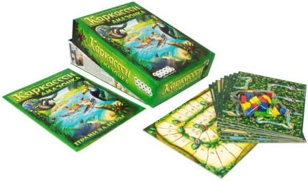 Купить Мир Хобби Каркассон. Амазонка для детей - фото товара