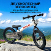 Беговел-велосипед Bubago Rollin BG-166-2 Серый