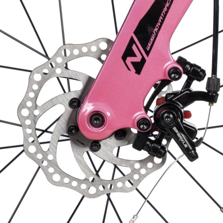 Купить Novatrack Flight 2025 16MD.FLIGHT.PN5 (розовый) для детей - фото товара