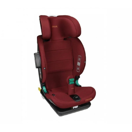 Детское автокресло Casual Goldfix Pro VTN35 Purple