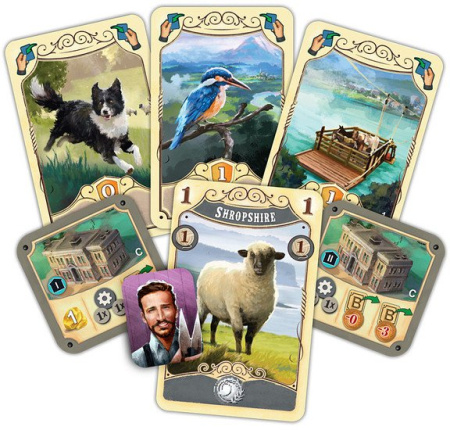 Купить Звезда Великий Западный путь. Новая Зеландия 8420 для детей - фото товара