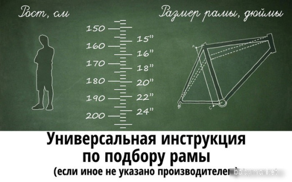 Novatrack Aurora 3.6 24 2024 24FAURORA6S.BG4 (бежевый) - детский товар
