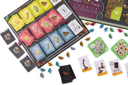 Купить Эврикус Марипосас PG-17333 для детей - фото товара