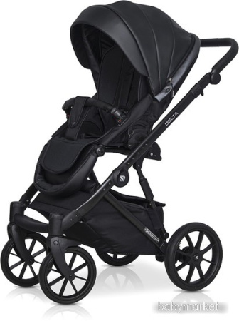 Купить Riko Basic Delta Ecco (2 в 1, 15/black) для детей - фото товара