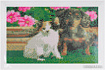 Алмазная мозаика Darvish Котенок и щенок DV-9516-19