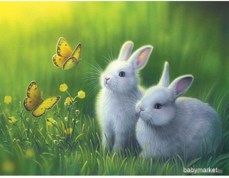 Алмазная мозаика Darvish Два кролика и бабочки DV-9514-13