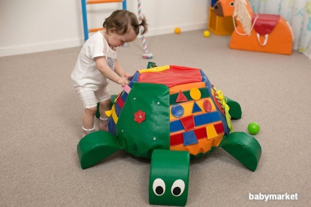 Купить Romana Черепаха ДМФ-МК-01.95.07 для детей - фото товара