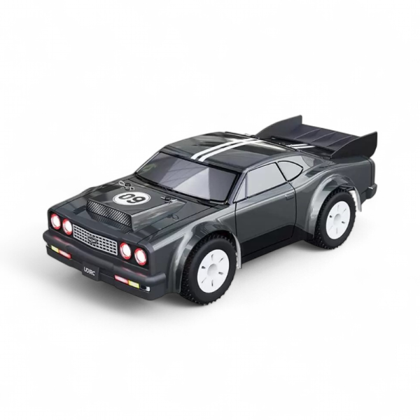 Радиоуправляемая автомодель Udirc UD1609 PRO