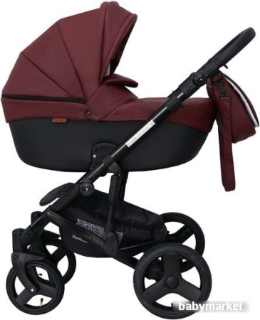 Ray Corsa Ecco (2 в 1, 29)