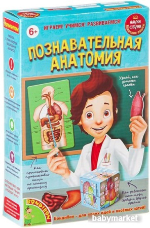 Набор для опытов Bondibon Науки с Буки Познавательная анатомия ВВ1836