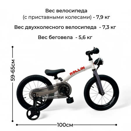 Беговел-велосипед Bubago Rollin BG-166-2 Серый