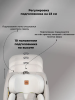 Детское автокресло VipBaby Everest I-Size LYB839 Moonstone