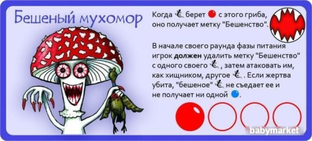 Купить Правильные игры Эволюция. Трава и грибы для детей - фото товара