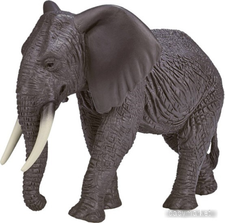 Фигурка Konik Африканский слон Самка AMW2090