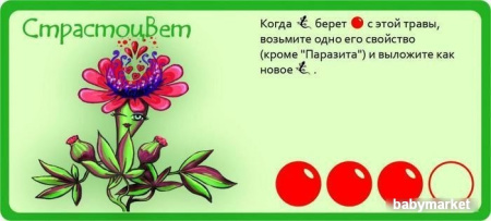 Купить Правильные игры Эволюция. Трава и грибы для детей - фото товара