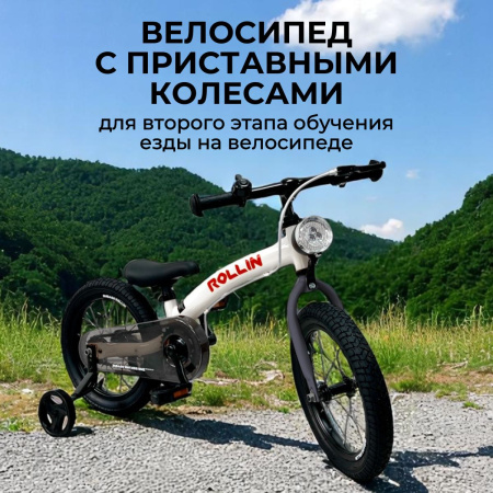 Беговел-велосипед Bubago Rollin BG-166-2 Серый