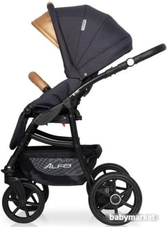 Купить Riko Alfa Ecco (2 в 1, 02) для детей - фото товара