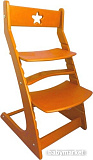 Растущий стул Rostik СП-01 (оранжевый)