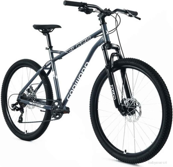 Forward Flash CX 26 р.17 2025 (серый/серебристый) - детский товар