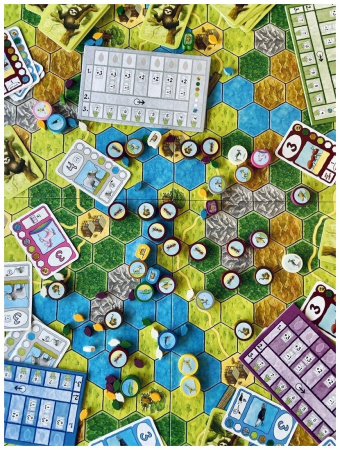 Купить Настольная игра Мир Хобби Форсаж ленивцев для детей - фото товара